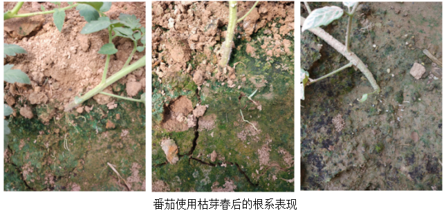 1513324359608926ylr8.png blob.png