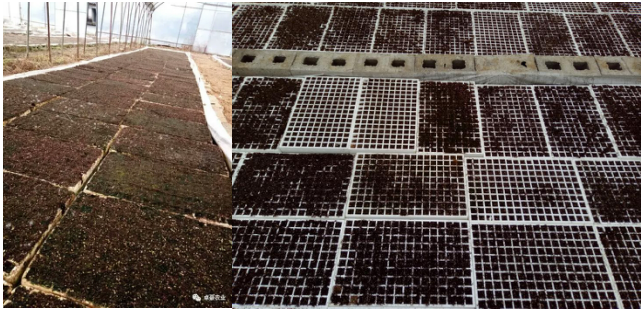 1515667606117360rqcQ.png blob.png