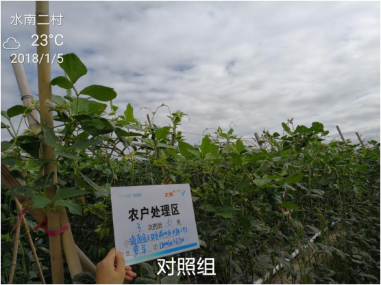 1515669137425960vUlP.png blob.png