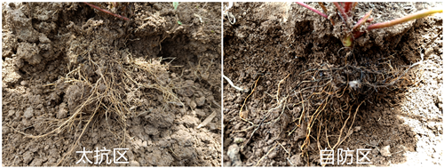 1530084967819909Iiji.png 圖片8.png