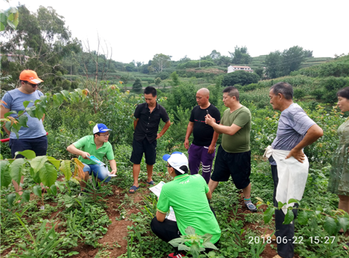 1531280711640972ws1A.png 圖片6.png